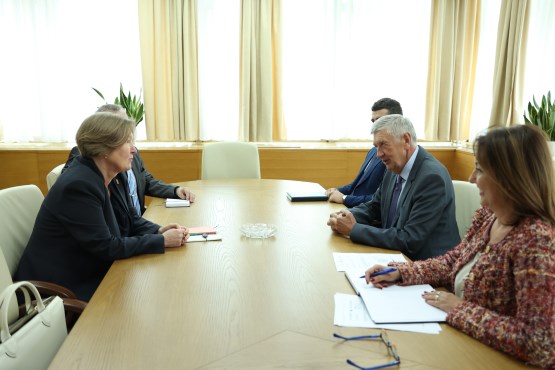 Speaker of the House of Representatives of the PA BiH Nebojša Radmanović received the ambassador of the Czech Republic in BiH on an inaugural visit